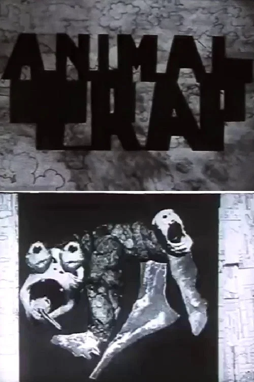 Animal Trap