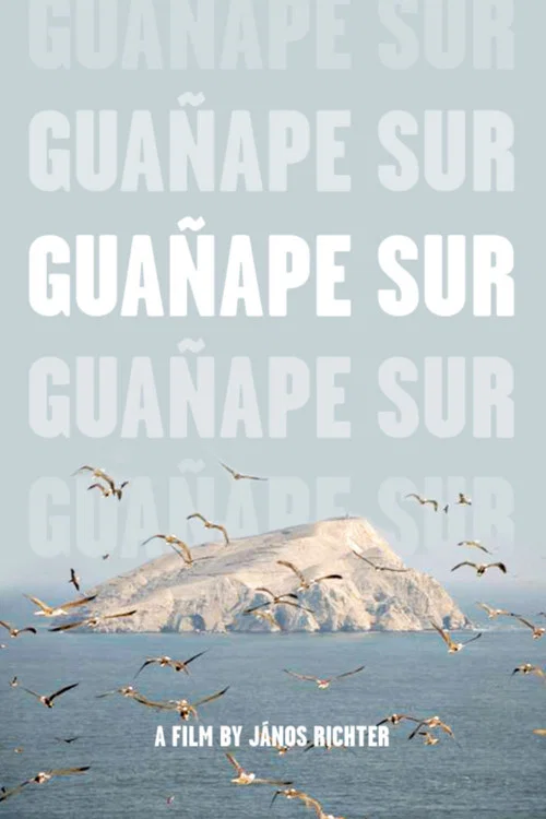 Guañape sur