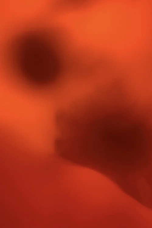 Love is Tinged with Red
