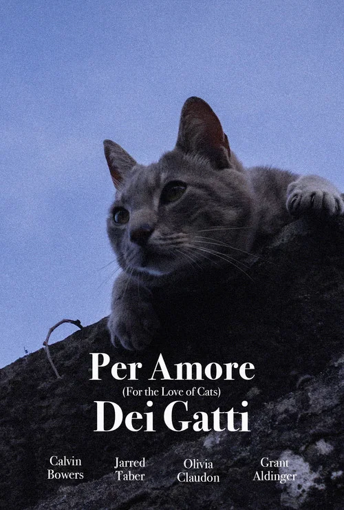 For the Love of Cats