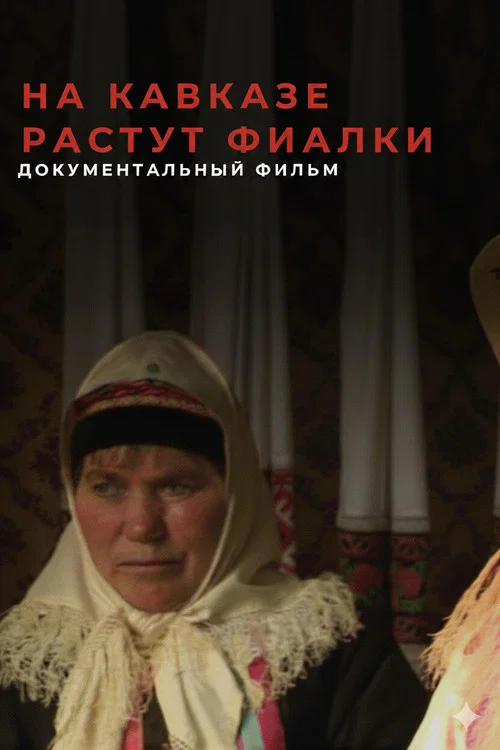 Violets Blossom in the Caucasus