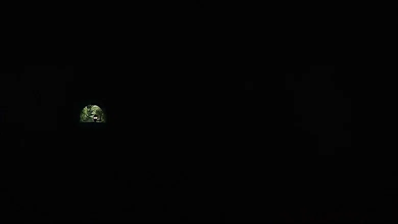 Kamen Rider: THE FIRST screenshot 5