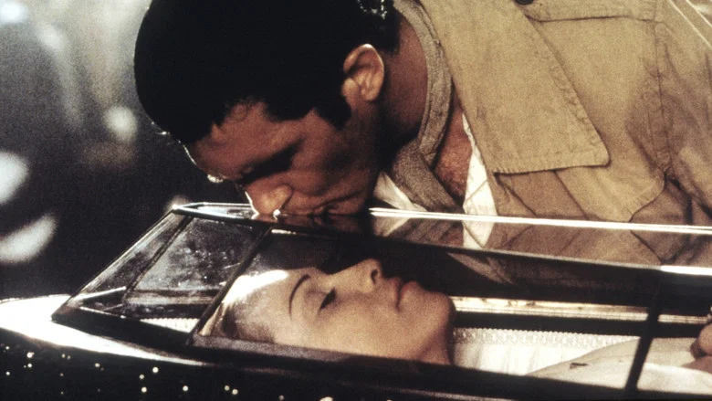 Evita screenshot 7