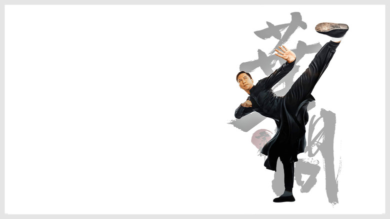 Ip Man: Kung Fu Master screenshot 5
