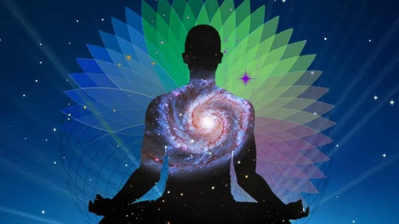 Conscious: Fulfilling Our Higher Evolutionary Potential screenshot 1
