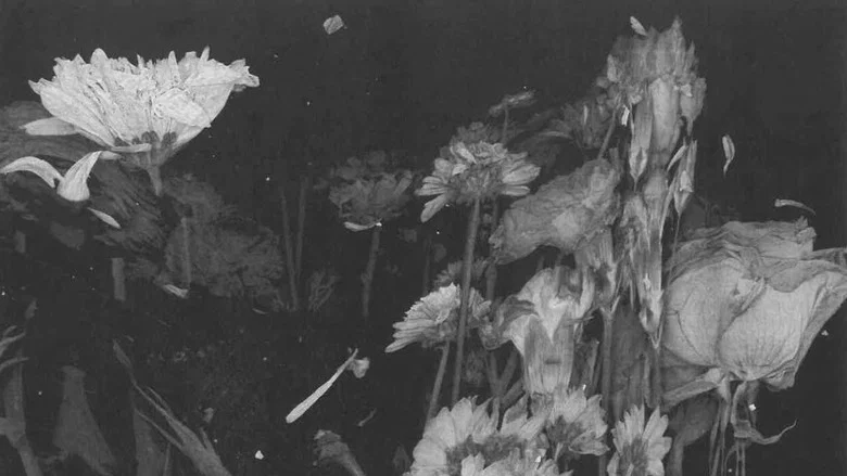 bouquet screenshot 1