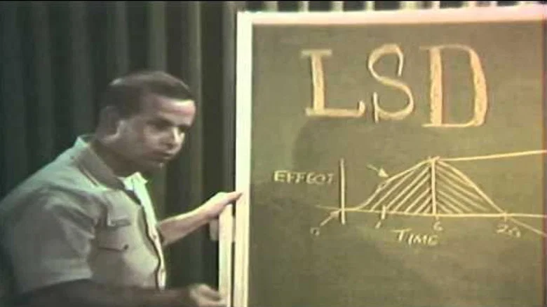 LSD screenshot 1