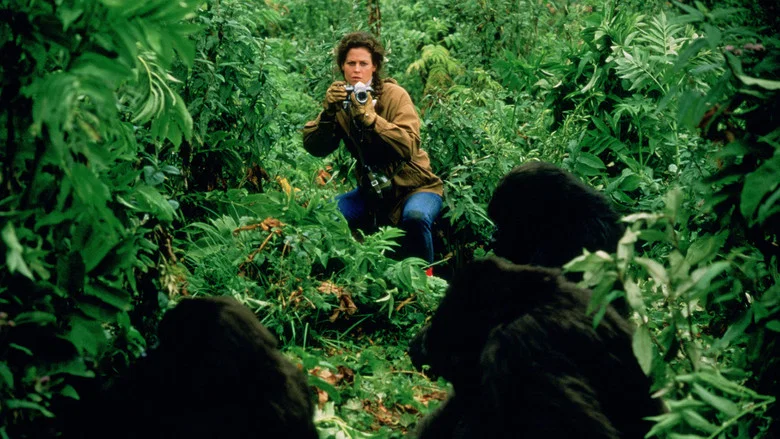 Gorillas in the Mist screenshot 5