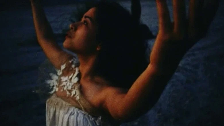 The White Funeral screenshot 6