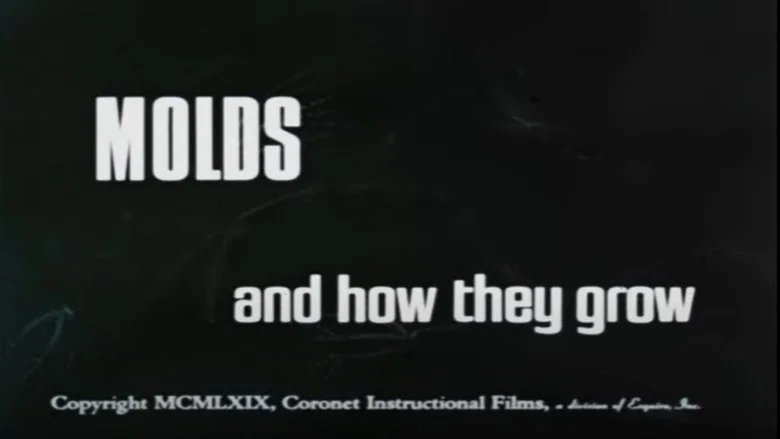 Molds and How They Grow screenshot 1