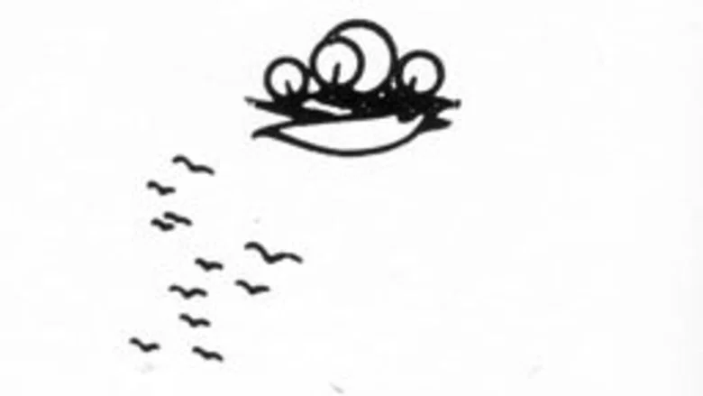 Gô among the birds screenshot 1