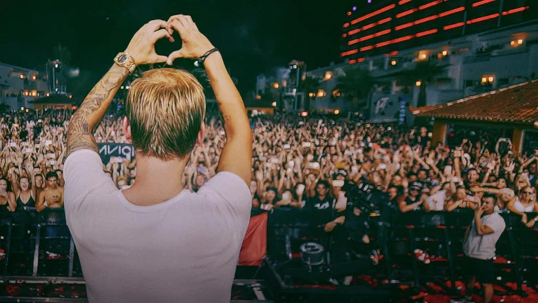 Avicii - My Last Show screenshot 2