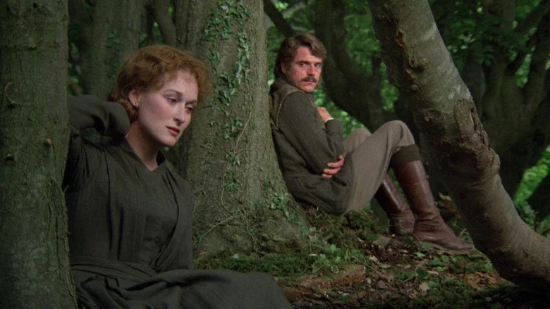 The French Lieutenant's Woman screenshot 5