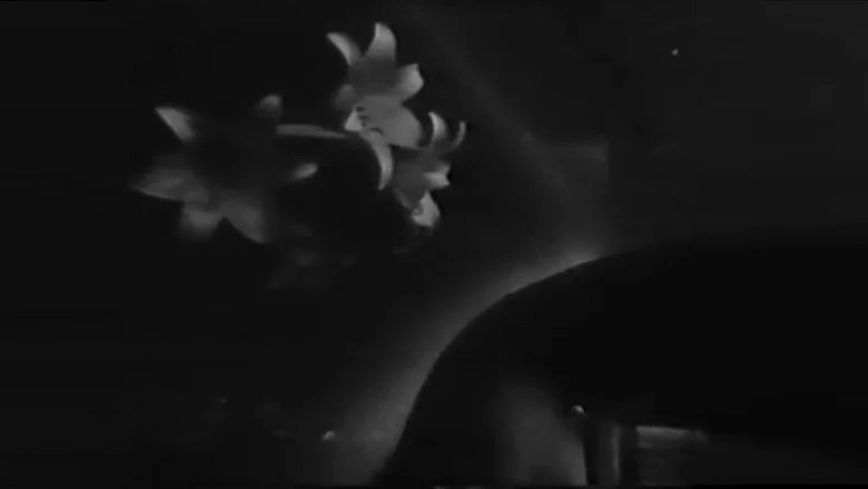 Aleph screenshot 2
