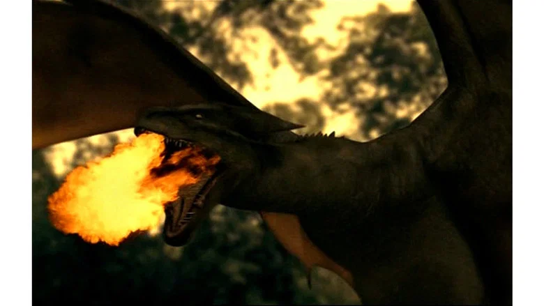 Dragon screenshot 2