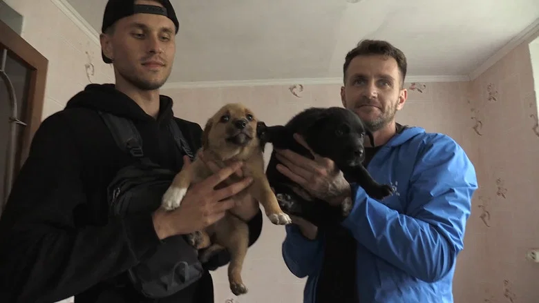 Dogs and War: What I saw in Ukraine screenshot 2