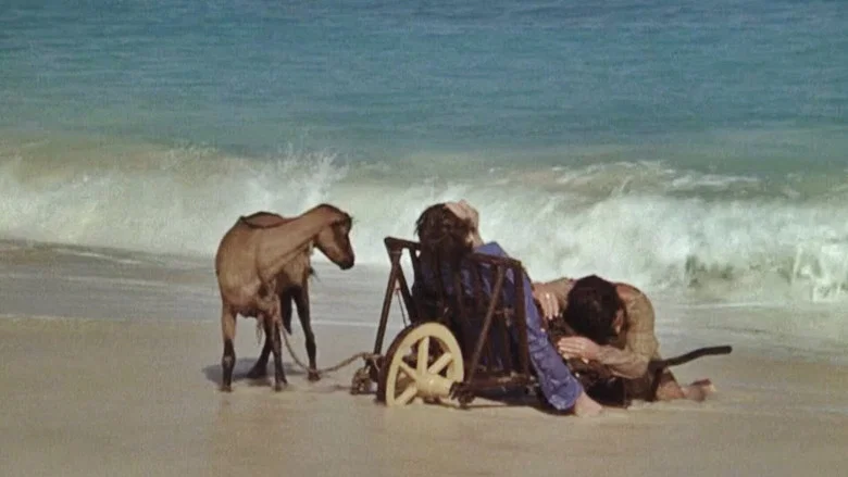 I Will Walk Like a Crazy Horse screenshot 1