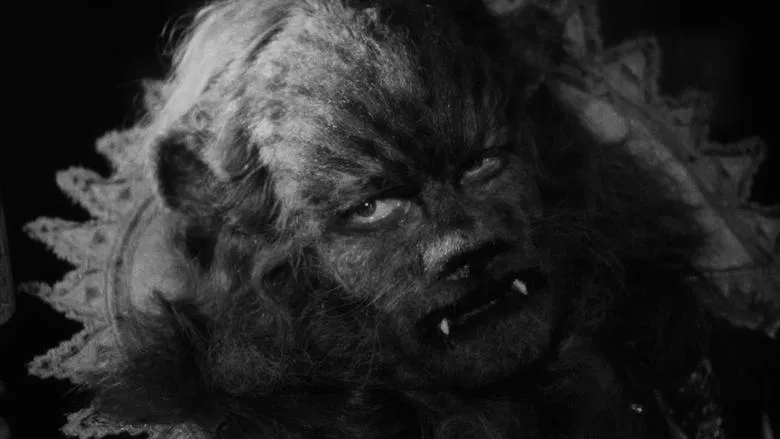 Beauty and the Beast screenshot 1