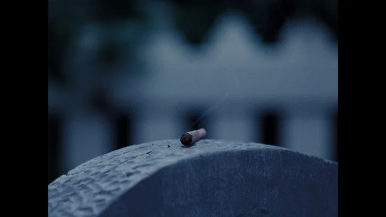 BUD screenshot 2