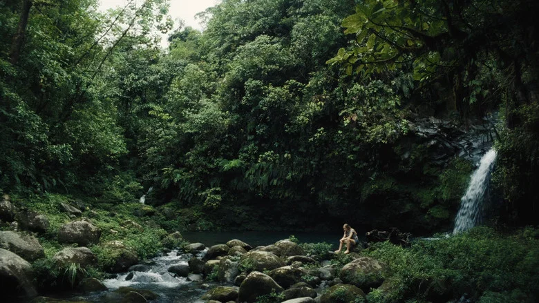 Pescador screenshot 3