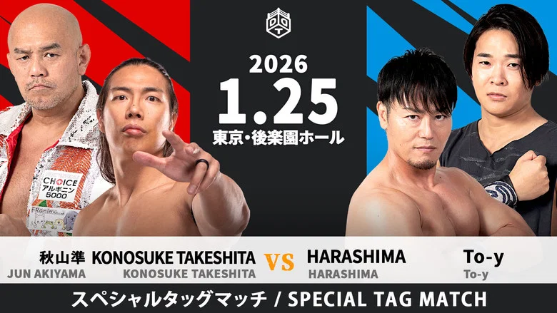 DDT Mission in Battle ~new year splendor~ screenshot 7