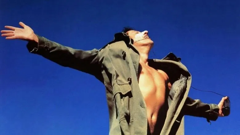 Shine screenshot 1