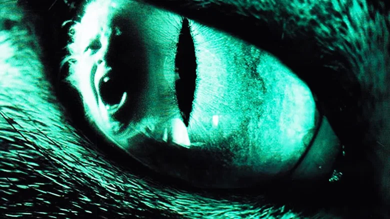 Cat's Eye screenshot 7