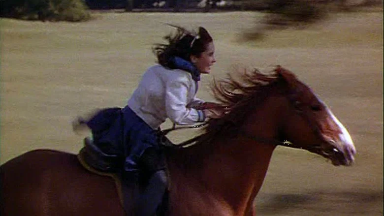 National Velvet screenshot 3