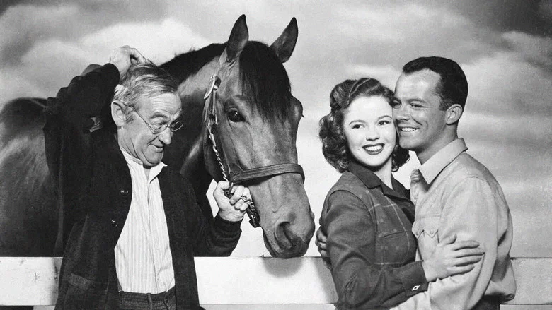 The Story of Seabiscuit screenshot 1