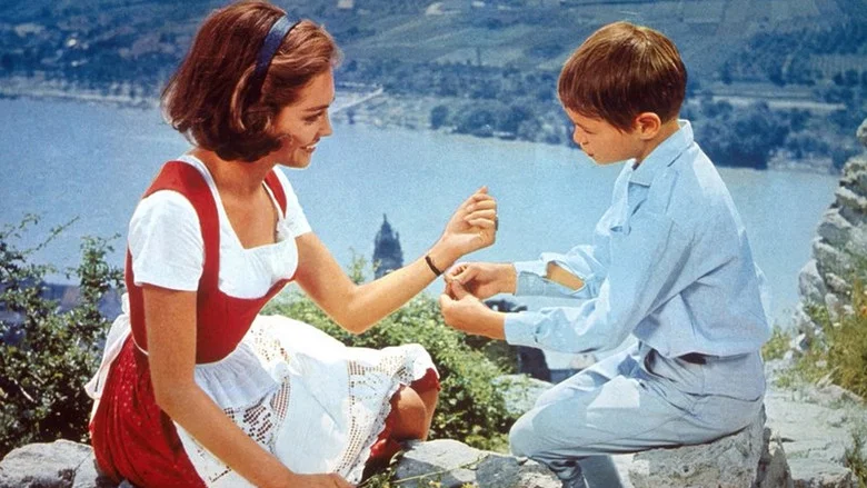 An der Donau, wenn der Wein blüht screenshot 2