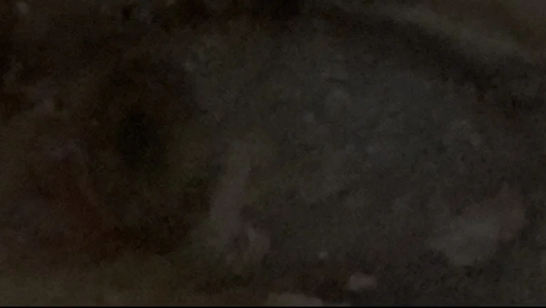 The Noise I Keep screenshot 2