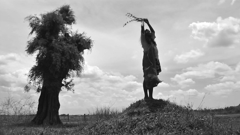 The Turin Horse screenshot 5