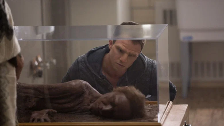William screenshot 4
