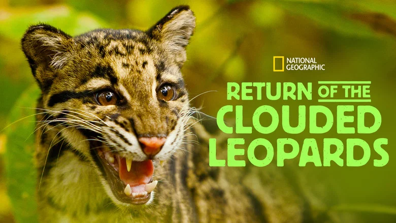 Return of the Clouded Leopards screenshot 2