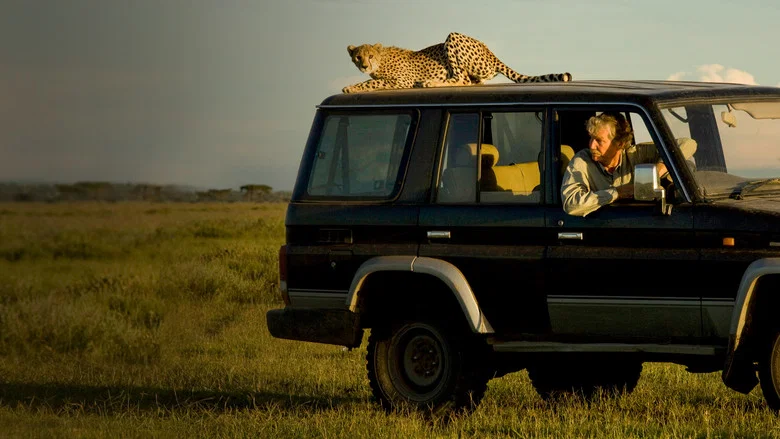 Cat Wars: Lion vs. Cheetah screenshot 3