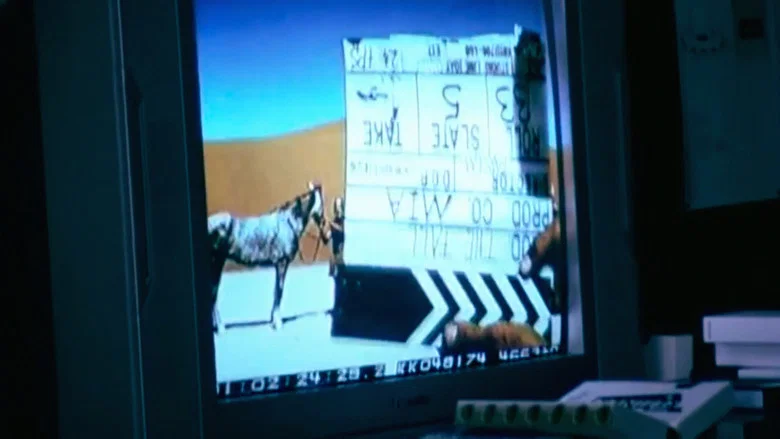 Wanderlust screenshot 6