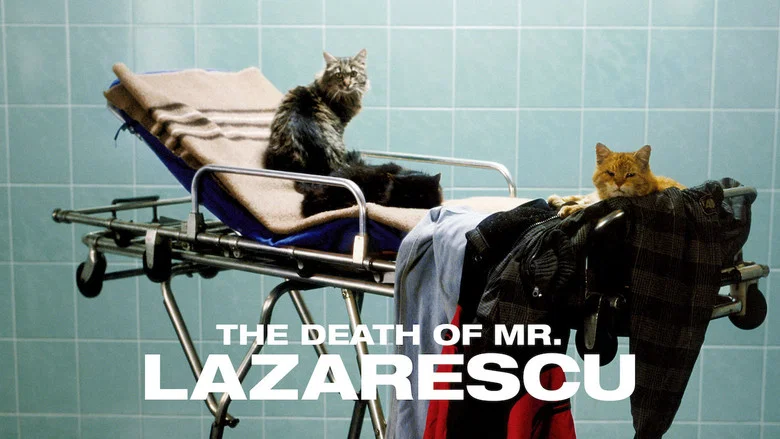 The Death of Mr. Lazarescu screenshot 5
