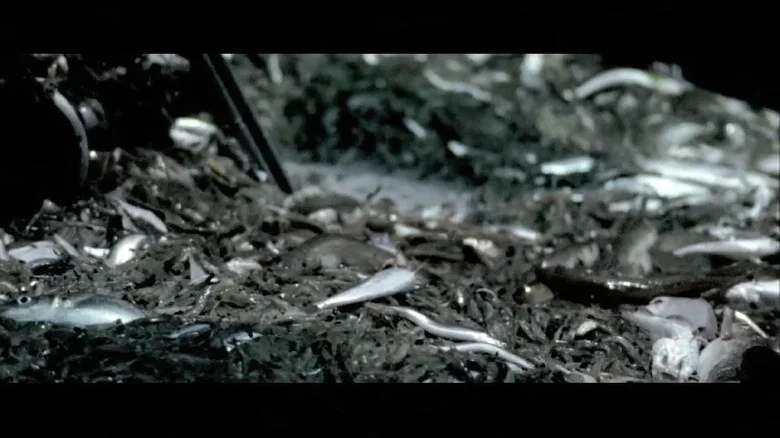 Nachtwake screenshot 1