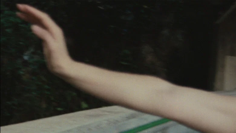 Zi screenshot 3