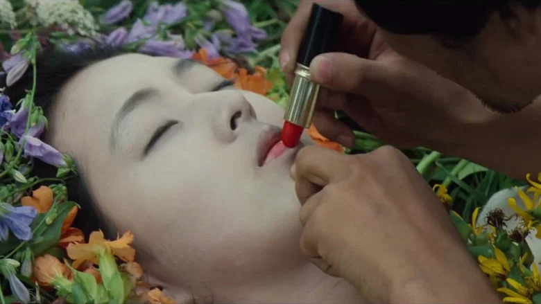 Declaration of Fools screenshot 1