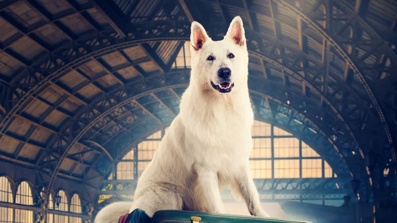 Lampo, the Travelling Dog screenshot 5