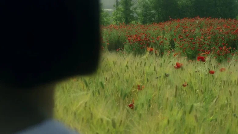 Consolation screenshot 2