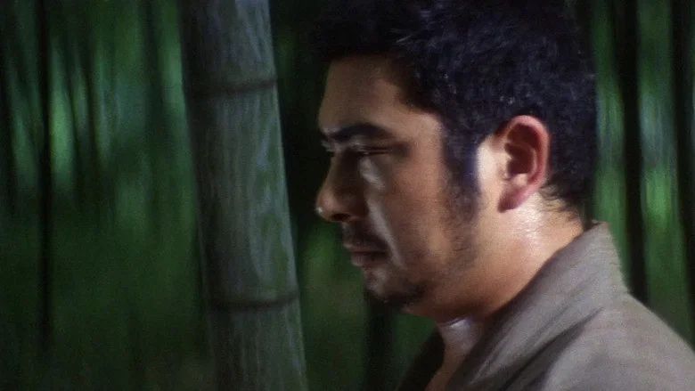Zatoichi and the Fugitives screenshot 5