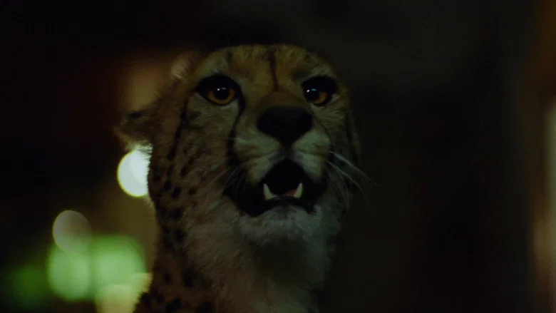 Wild Beasts screenshot 4