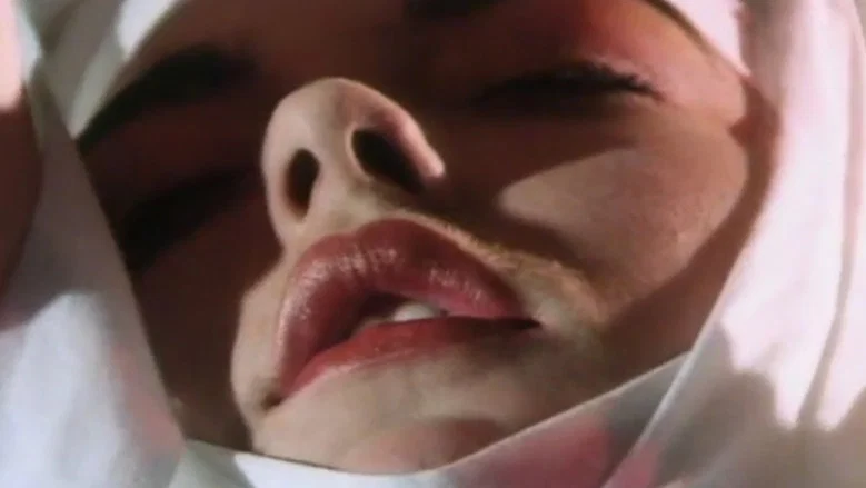 Visions of Ecstasy screenshot 5