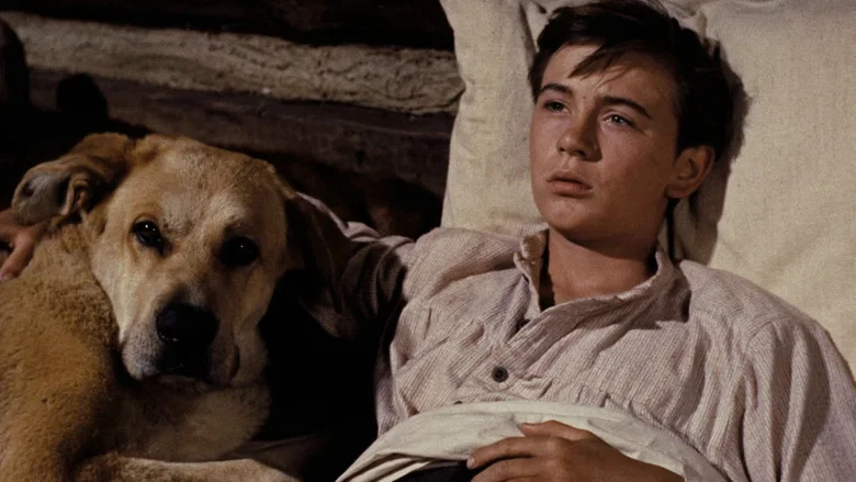 Old Yeller screenshot 3