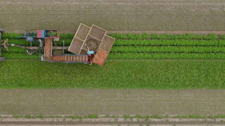 De Queeste screenshot 1