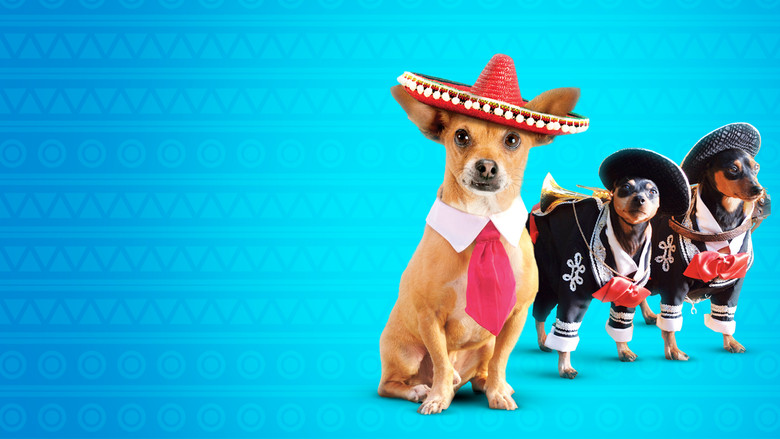 Beverly Hills Chihuahua 3: Viva la Fiesta! screenshot 2