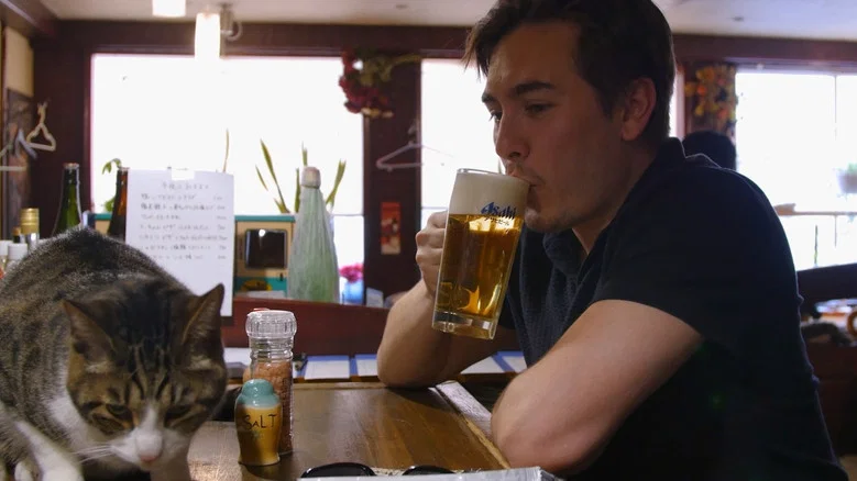 Cat Nation screenshot 3