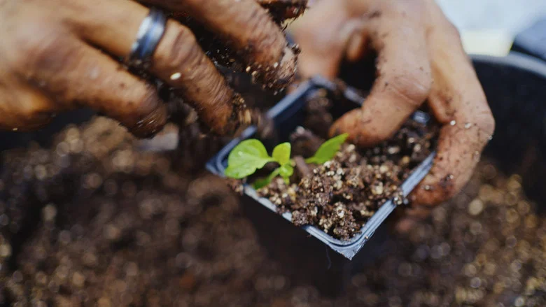 Grow a Better Dallas screenshot 8
